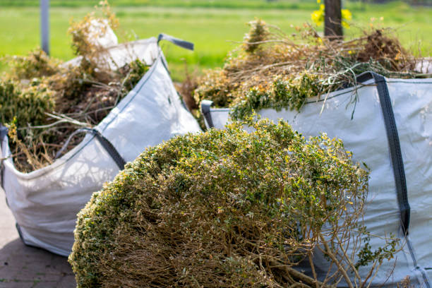 Best Same-Day Junk Removal  in Payson, AZ